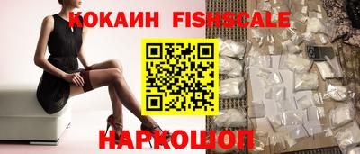 гашик Майкоп
