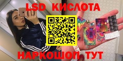 гашик Майкоп