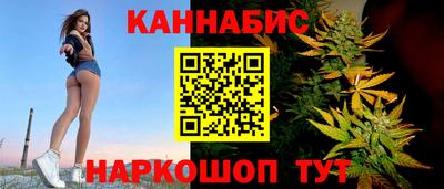 гашик Майкоп