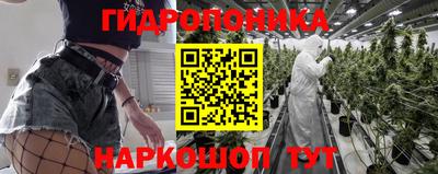 гашик Майкоп
