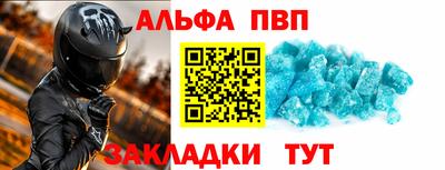 гашик Майкоп