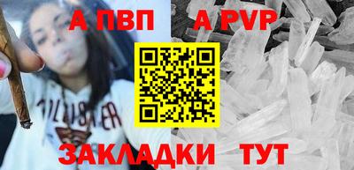 гашик Майкоп