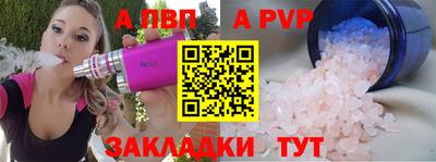гашик Майкоп