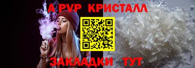 гашик Майкоп