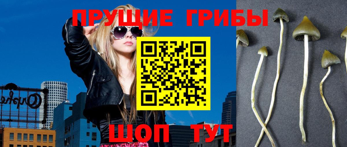 Галлюциногенные грибы GOLDEN TEACHER Ахтубинск